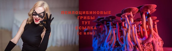 кокаин премиум Белокуриха