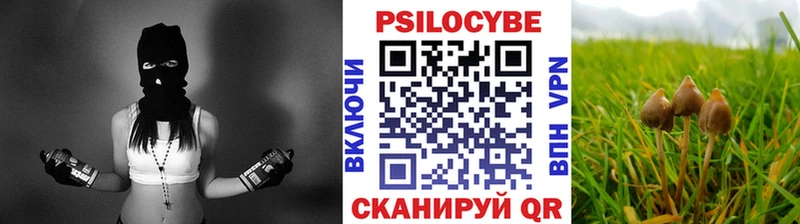 маркетплейс клад  закладка  Ачхой-Мартан  Галлюциногенные грибы Psilocybe  ОМГ ОМГ рабочий сайт 